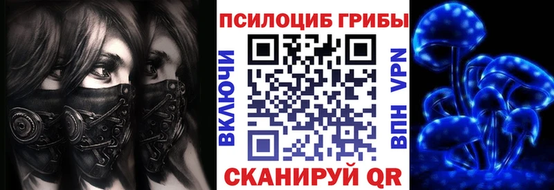 Галлюциногенные грибы Cubensis  Борзя 
