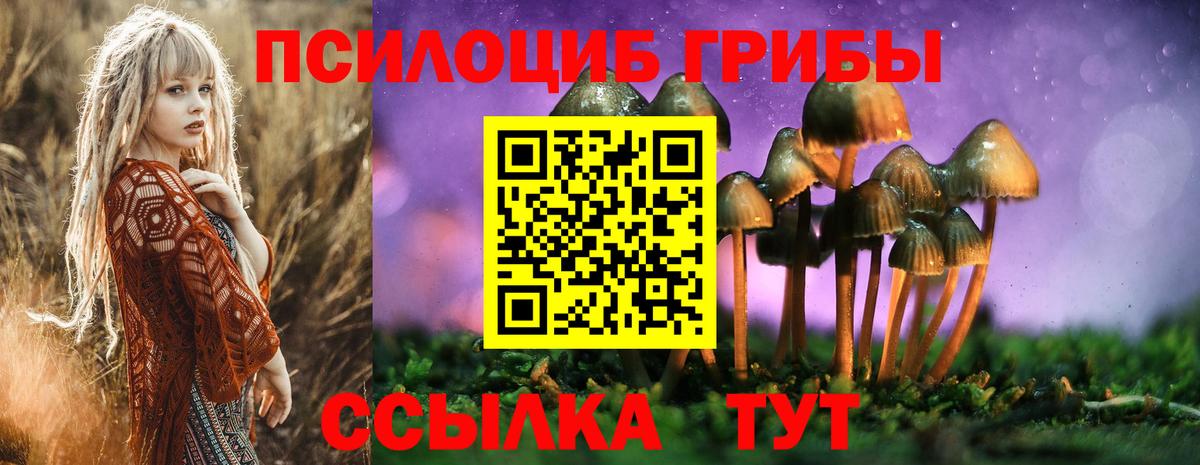 Галлюциногенные грибы мухоморы  магазин продажи   Псилоцибиновые грибы MAGIC MUSHROOMS  Борзя 