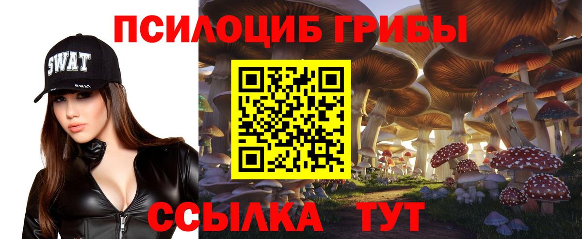 Галлюциногенные грибы MAGIC MUSHROOMS  Вход с VPN  Борзя 